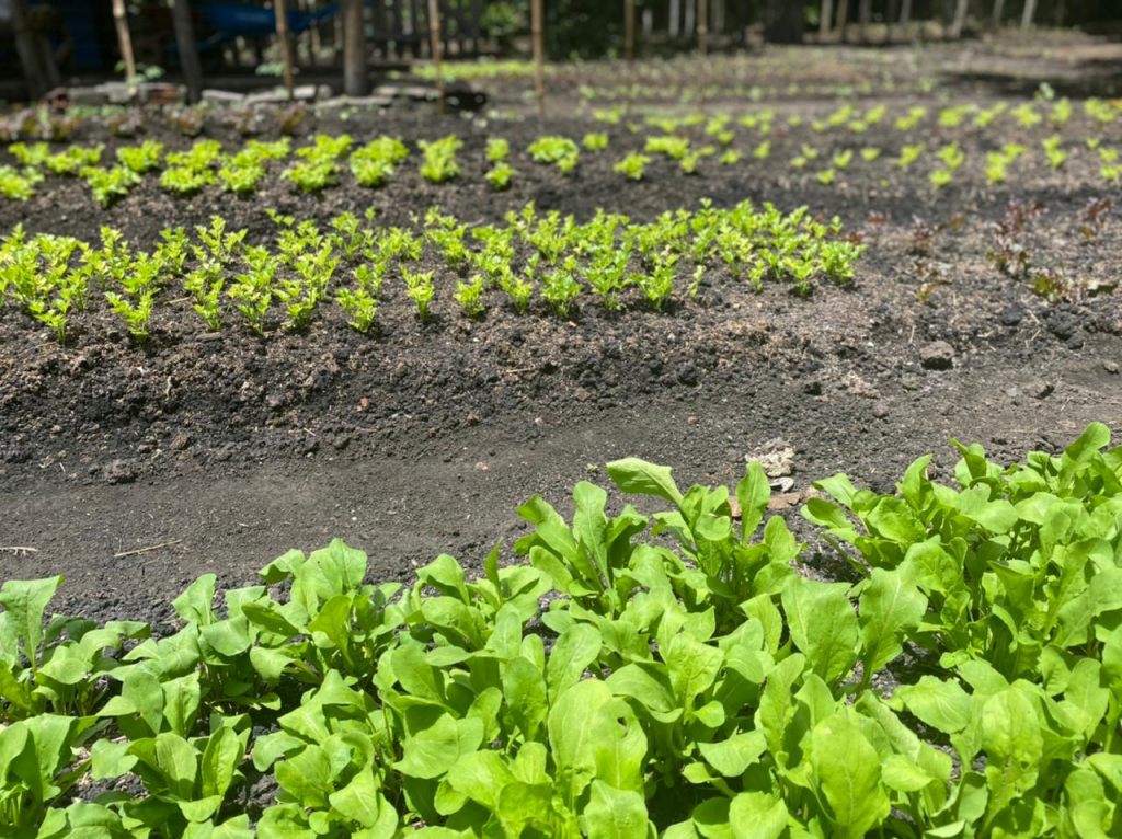 AGRICULTORES FAMILIARES 1A (2)