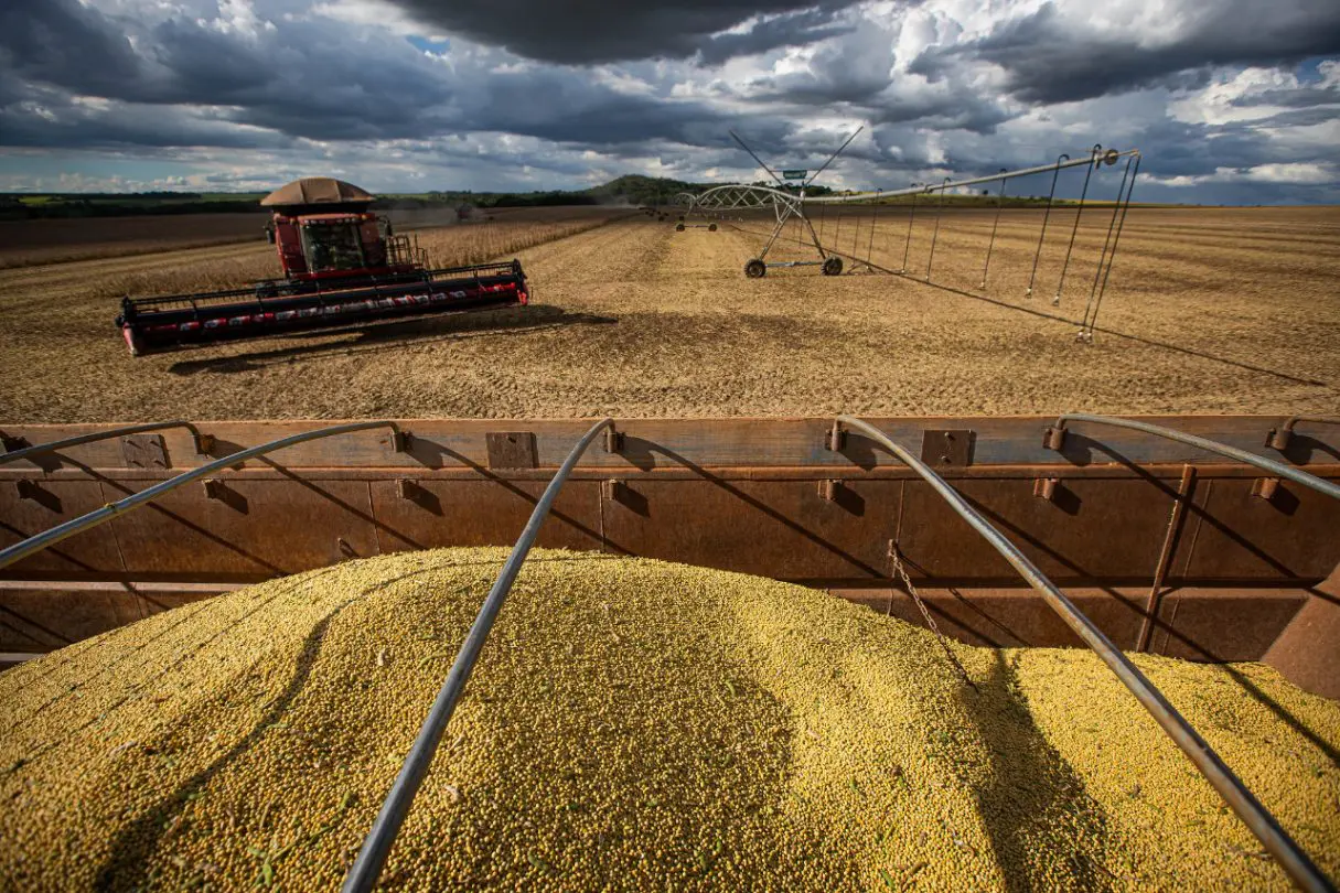 Agronegócio Goiás é o maior gerador de empregos no agronegócio do Centro-Oeste