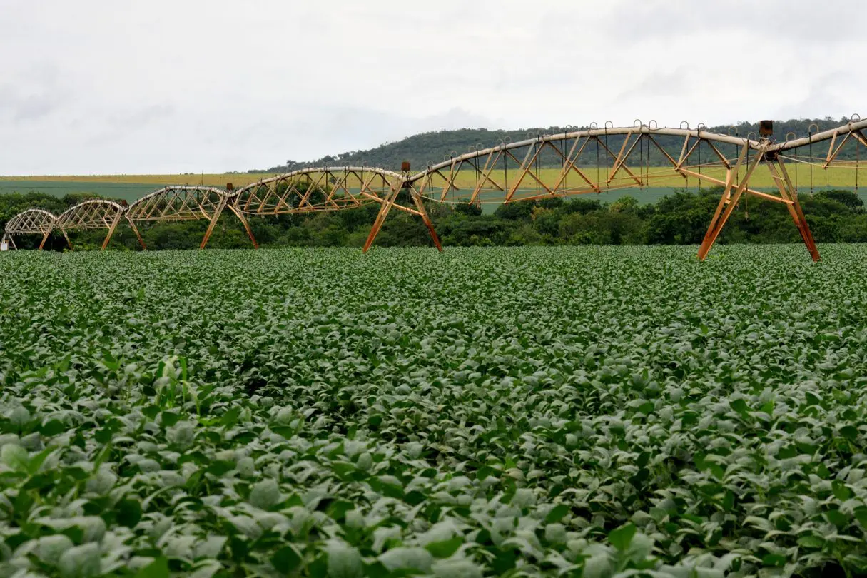 Irrigação