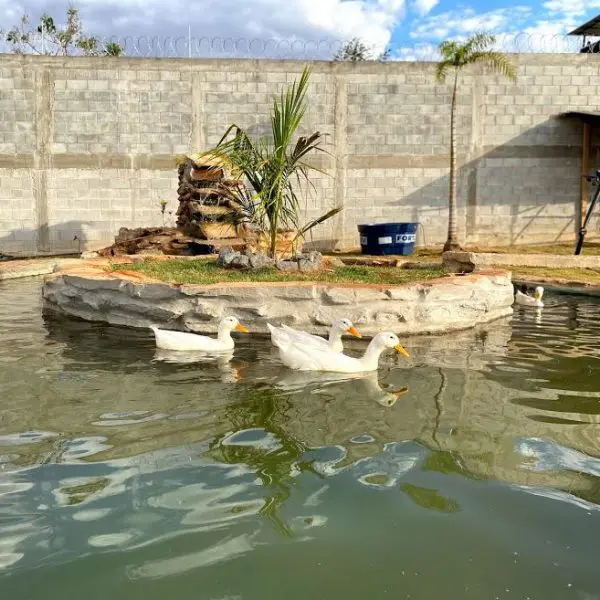 Ambiente do espaço criado para o projeto descompressão