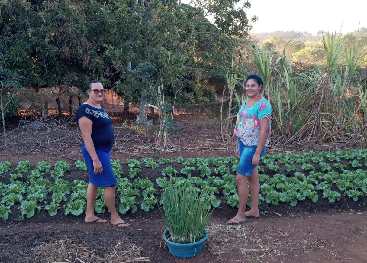 Agro é Social -Emater