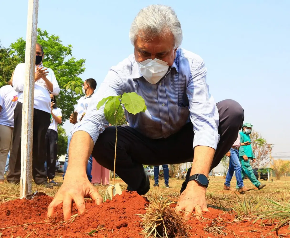 Caiado planta muda no Dia da Árvore