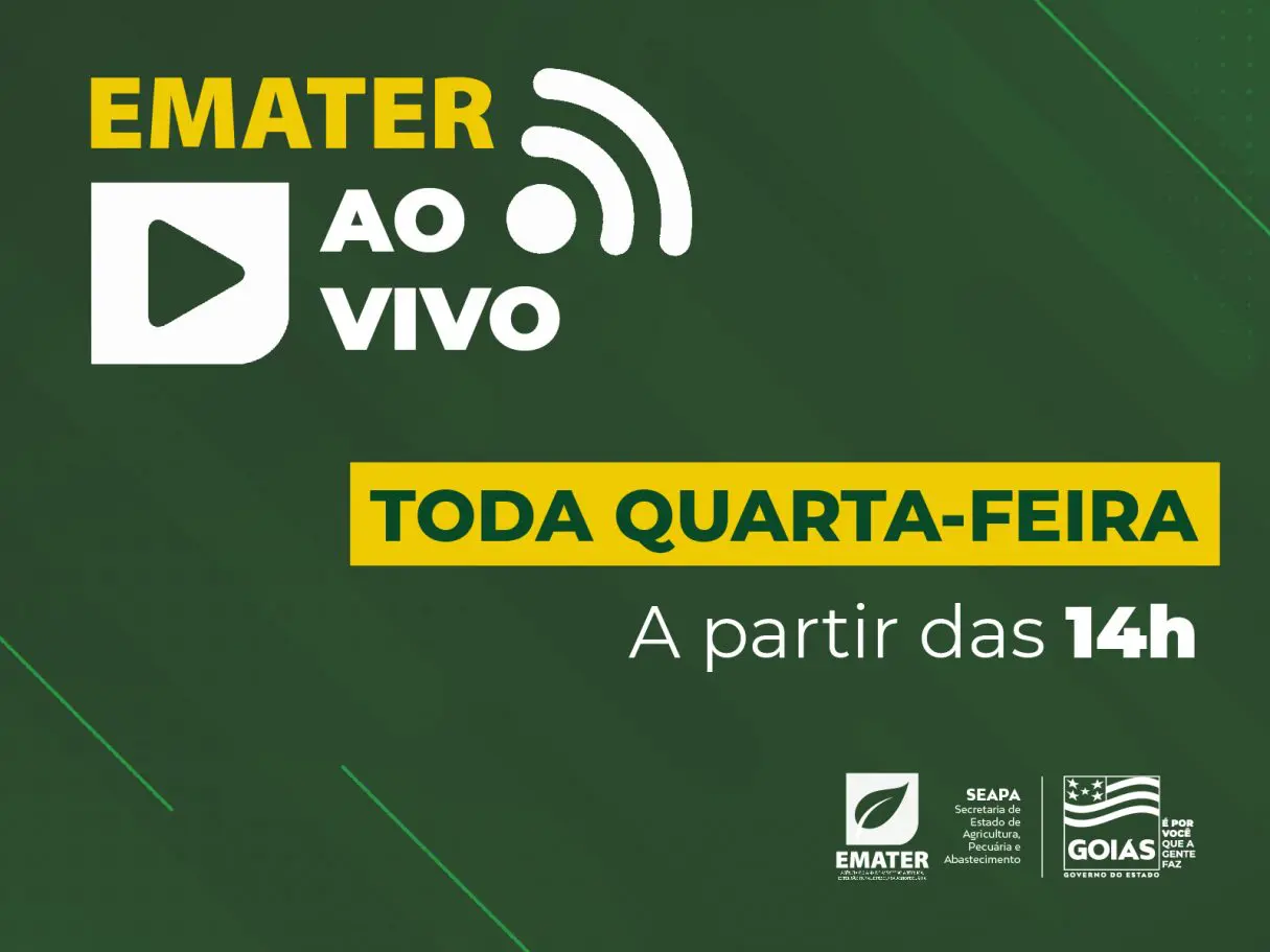 EMATER AO VIVO-SITE-01-01