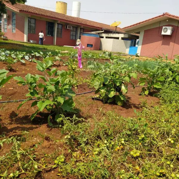 Educação abre processo seletivo para gestor do primeiro agrocolégio