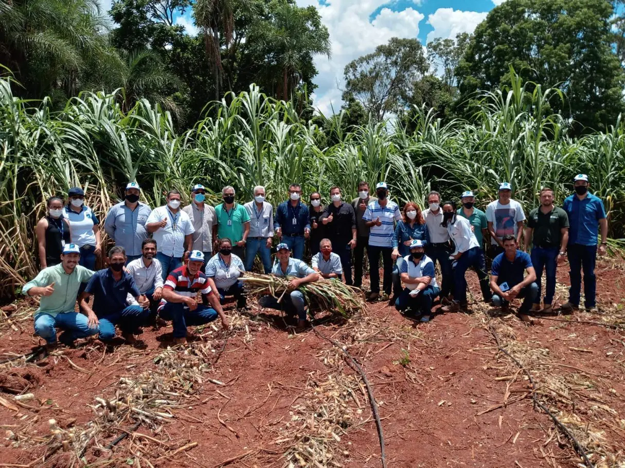 No encontro, foram distribuídas mudas da gramínea para cerca de 150 produtores rurais da região e apresentadas palestras para mostrar características da planta. O BRS Capiaçu é um clone de capim-elefante, lançado em 2016 pela Empresa Brasileira de Pesquisa Agropecuária (Embrapa)