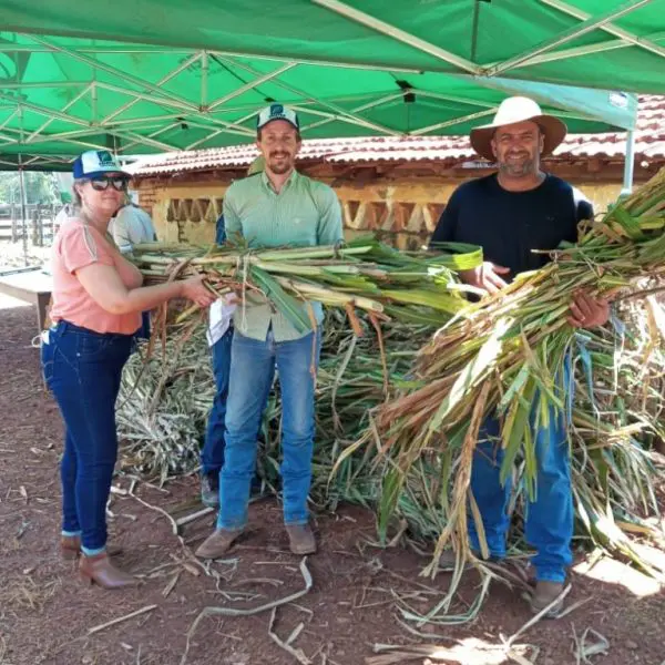 EMATER-DIA DE CAMPO- 2A