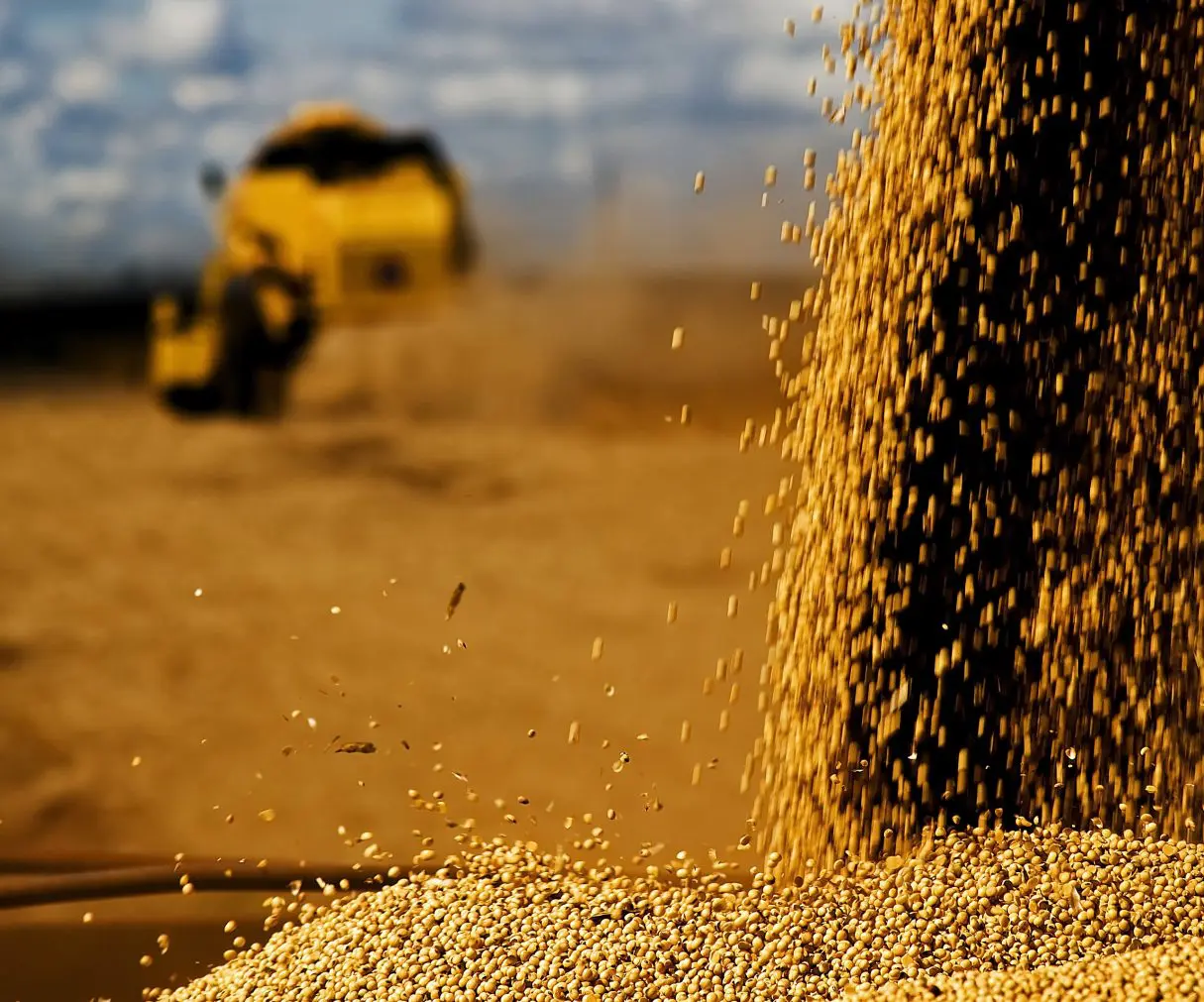 FCO Rural aprova R$ 41,9 milhões para empreendimentos agropecuários COLHEITA DE SOJA