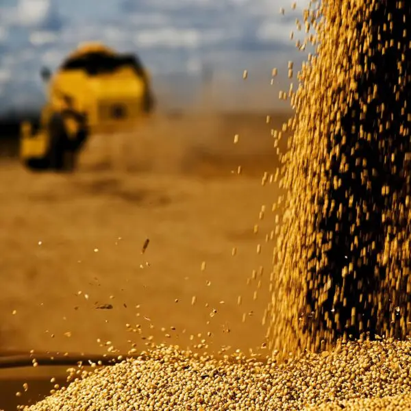 FCO Rural aprova R$ 41,9 milhões para empreendimentos agropecuários COLHEITA DE SOJA