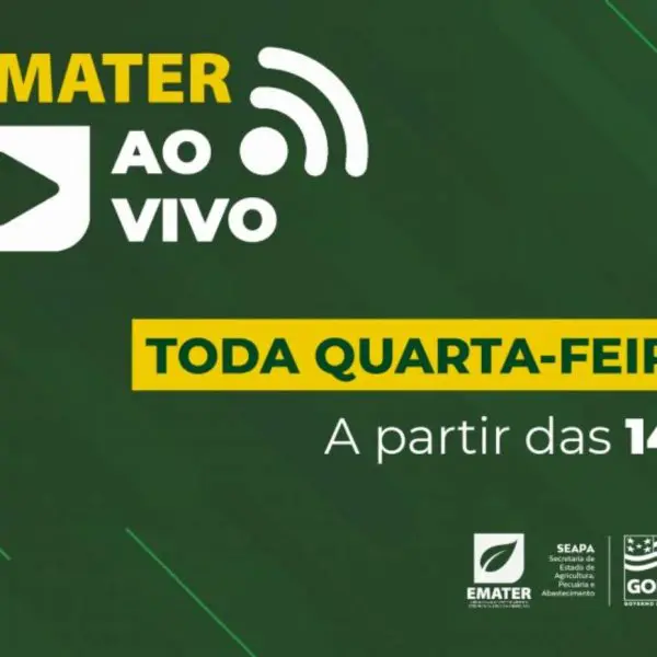 EMATERAOVIVO-SITE-01-01-1-768x576-2-1