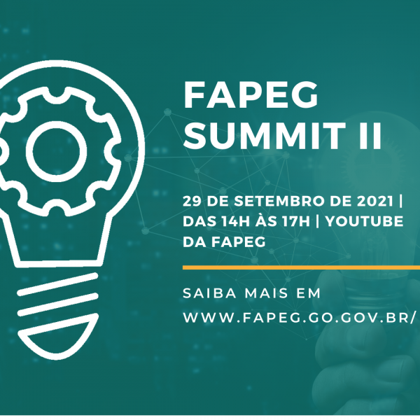 FAPEG BALANCO 2021-10