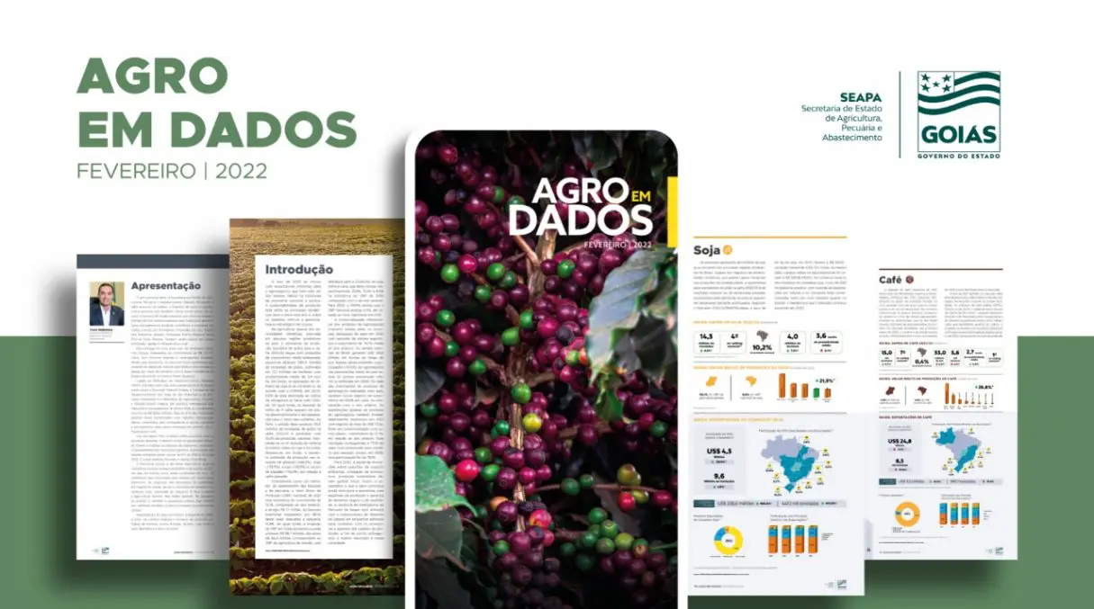 CAFE- AGRO EM DADOS