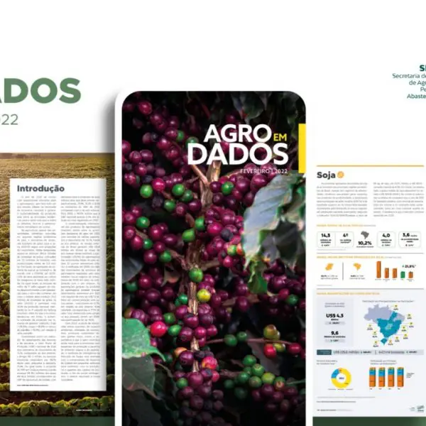 CAFE- AGRO EM DADOS