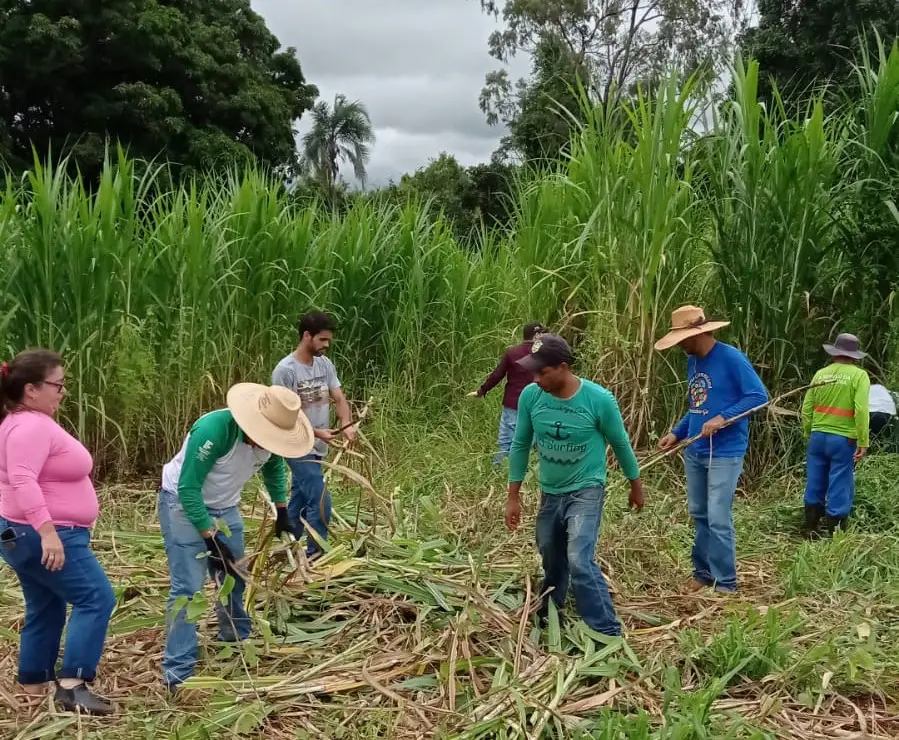 EMATER DIA DO CAMPO 1