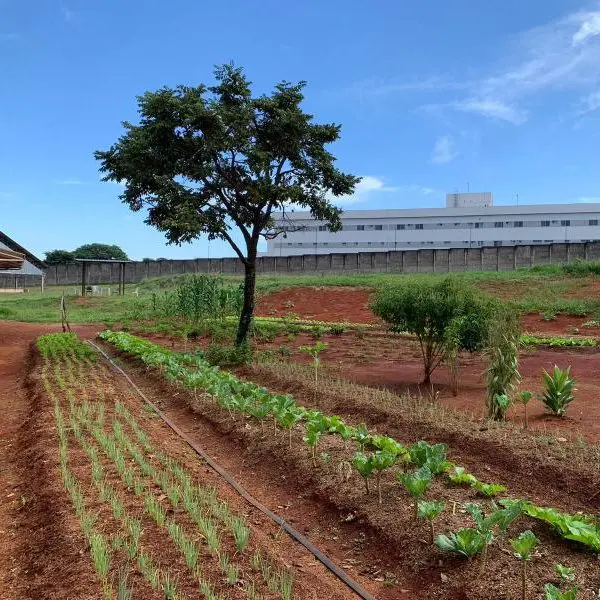 horta didática