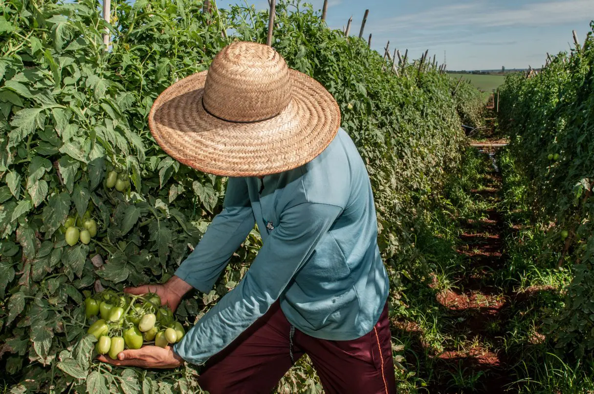 EMPREGO RURAL