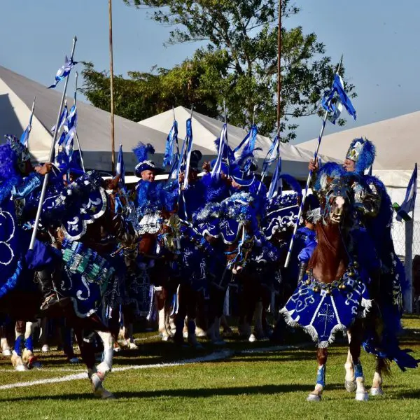 CAIADO CAVALHADAS S. F DE GOIAS - 2