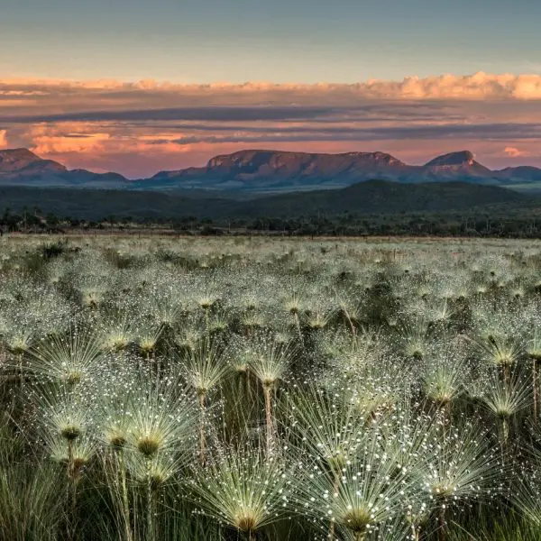 CHAPADA DOS VEADEIROS