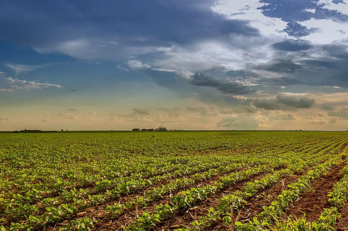 Produtores rurais precisam cadastrar DTE em agosto