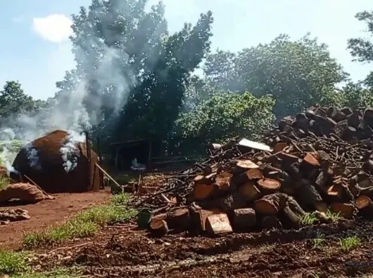 Carvoaria clandestina funcionava em Itumbiara.