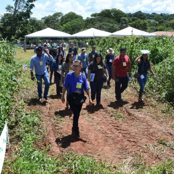 8º Dia de Campo da Fazendinha Agroecológica será realizado em 17 de fevereiro