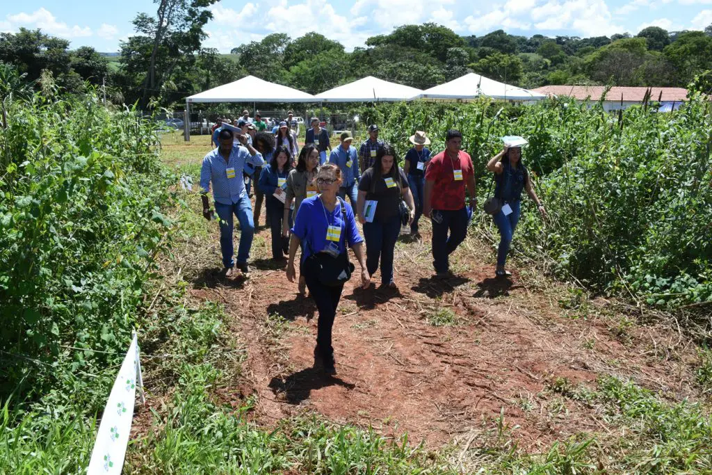 8º Dia de Campo da Fazendinha Agroecológica será realizado em 17 de fevereiro