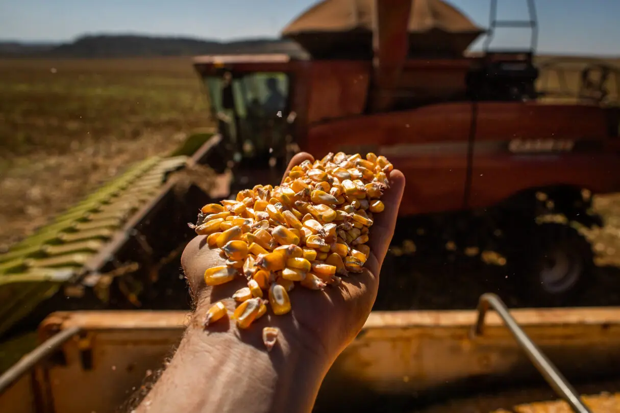 Receita Estadual traça estratégias de combate à evasão fiscal no agro