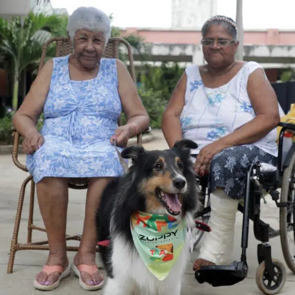 Projeto Terapia Assistida com cães