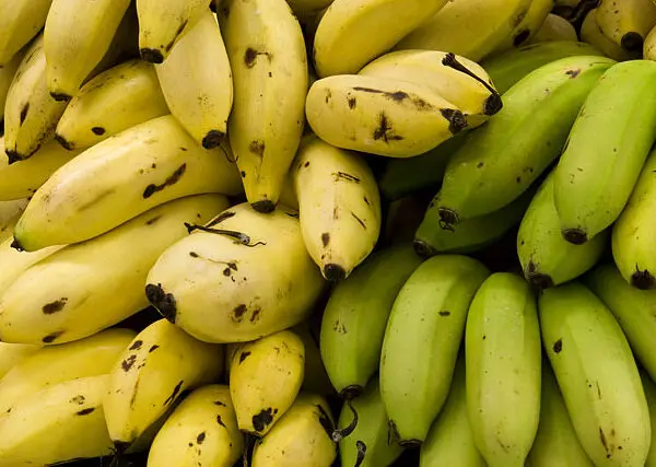 Imagem de banana - produção estadual deve crescer 2% em 2023