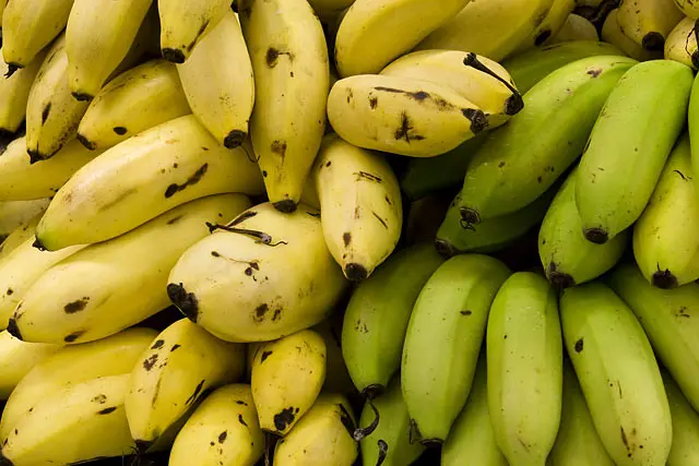 Imagem de banana - produção estadual deve crescer 2% em 2023