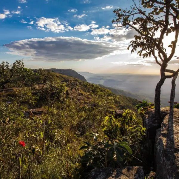 Parque Estadual da Serra Dourada - ICMS Ecológico