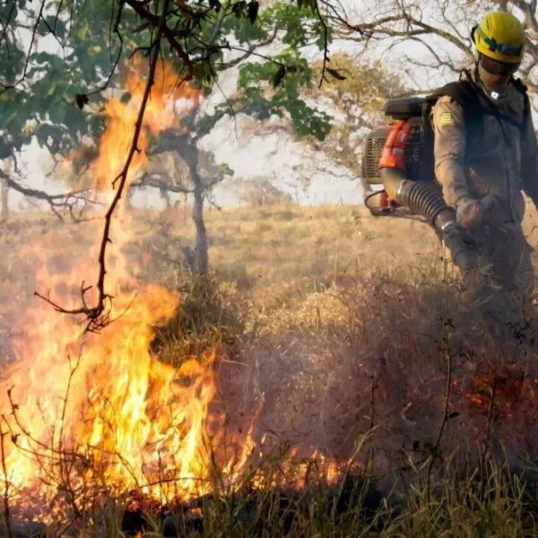 Monitoramento abre espaço para ações preventivas contra incêndios