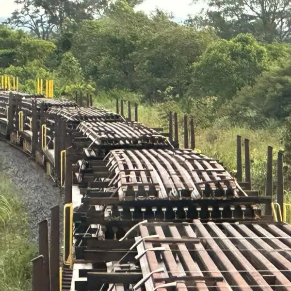 Caiado acelera Sistema Ferroviário Estadual e trilhos da Fico chegam a Goiás