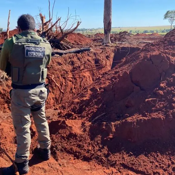 Fiscalização de crimes ambientais