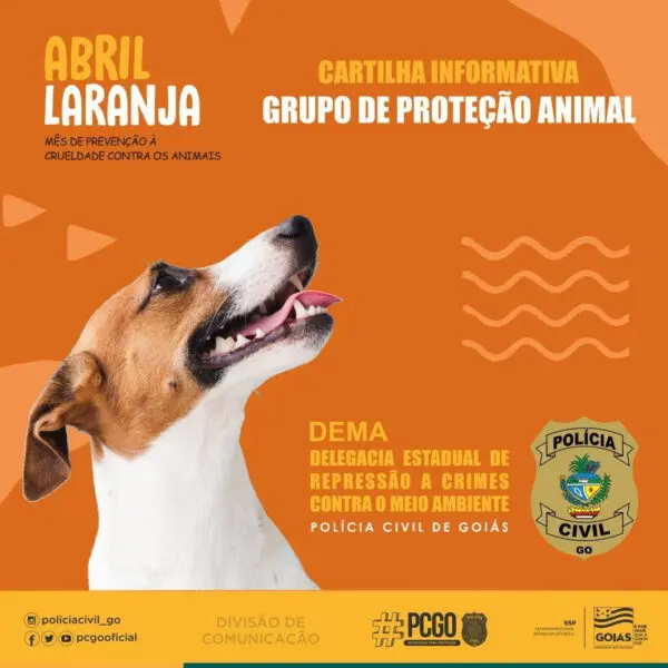 Capa da cartilha que orienta como denunciar maus-tratos a animais