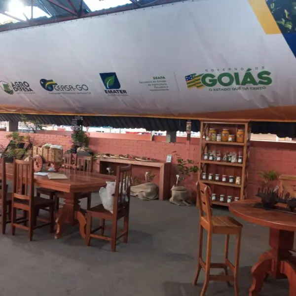 76ª Exposição Agropecuária: Governo de Goiás leva serviços para evento do agro