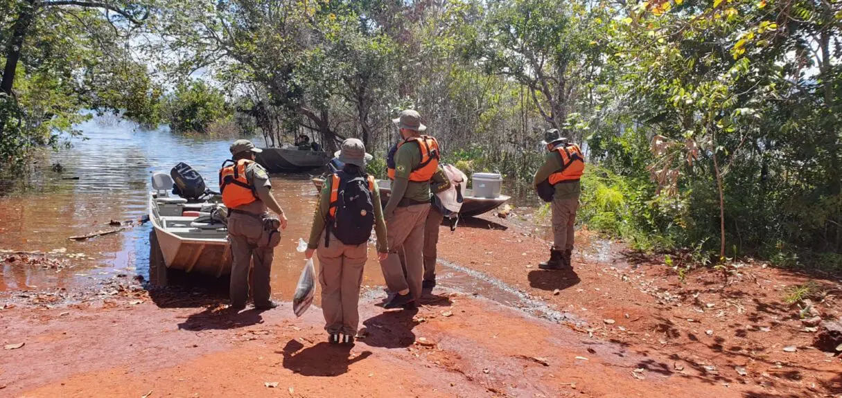 Fiscalização apreende pescado ilegal e aplica multas no lago Serra da Mesa