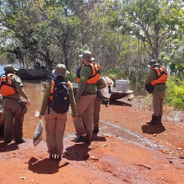 Fiscalização apreende pescado ilegal e aplica multas no lago Serra da Mesa