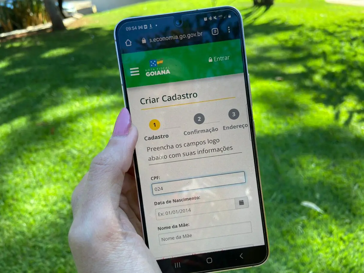 Consumidores devem se cadastrar pela internet no Programa Nota Fiscal Goiana para concorrer a prêmios mensais (Foto: Secretaria da Economia)