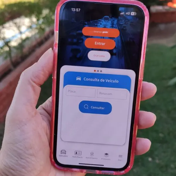 Tela do celular mostrando atendimento pelo app do Detran Goiás
