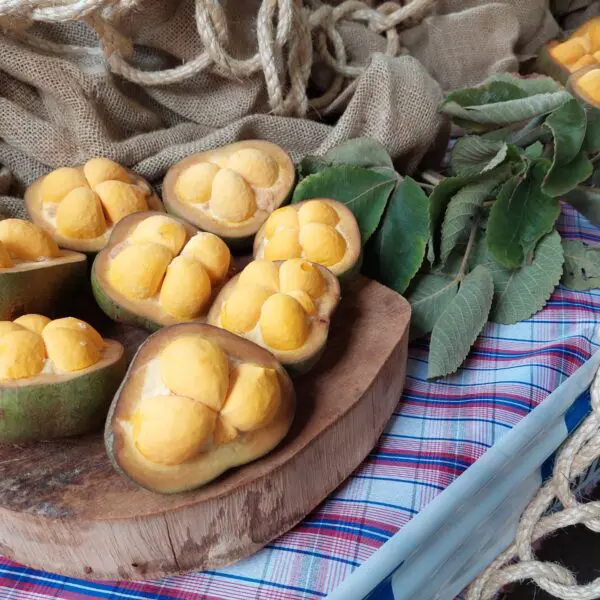 Pequi ganhou um dia em Goiás para chamar de seu Festival Gastronômico terá pequi sem espinhos