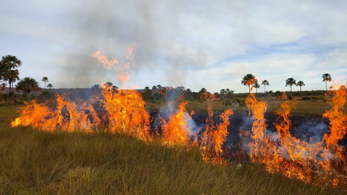 Para prevenir incêndios, Parque de Terra Ronca passa por queima prescrita