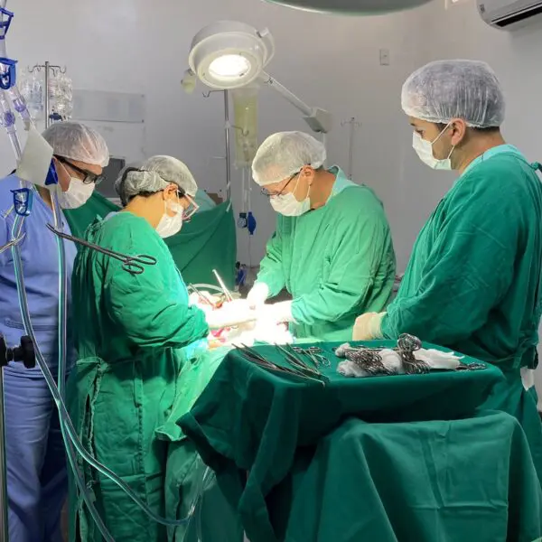 Equipe médica realizando captação de órgãos