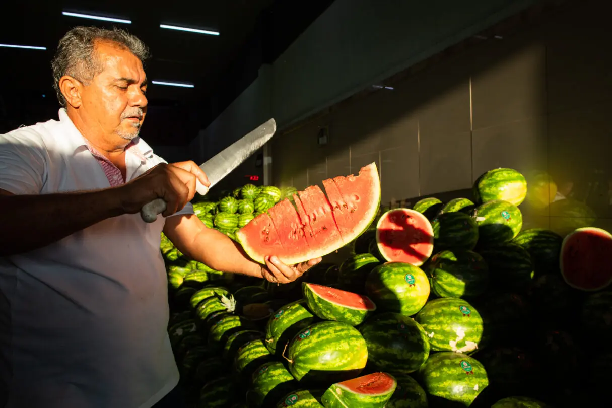 Produtor de melancia_Programa de Aquisição de Alimentos do Estado