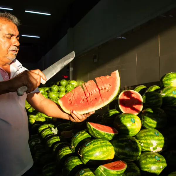 Produtor de melancia_Programa de Aquisição de Alimentos do Estado