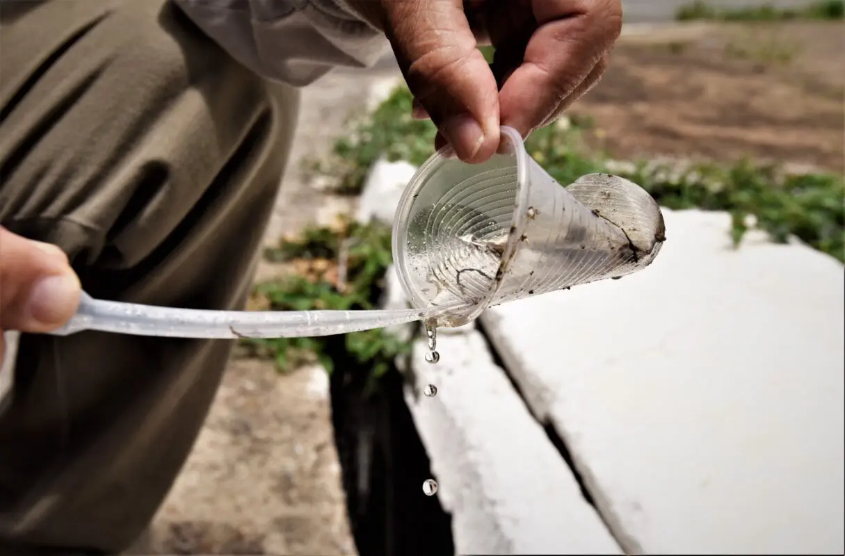 Saúde alerta para importância da prevenção no combate à dengue