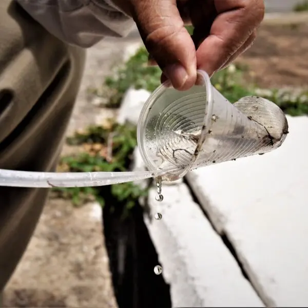 Saúde alerta para importância da prevenção no combate à dengue