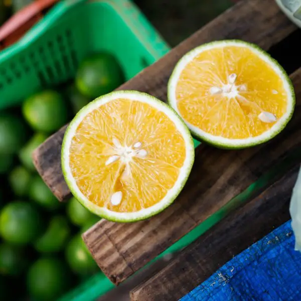 Produção de frutas em Goiás deve bater recorde