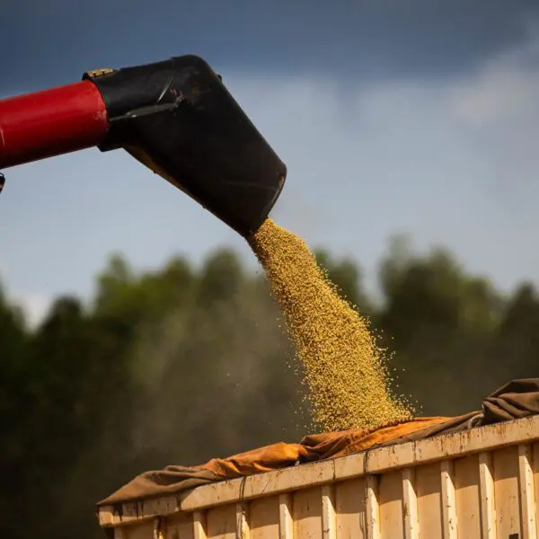 Agro puxa crescimento do PIB goiano