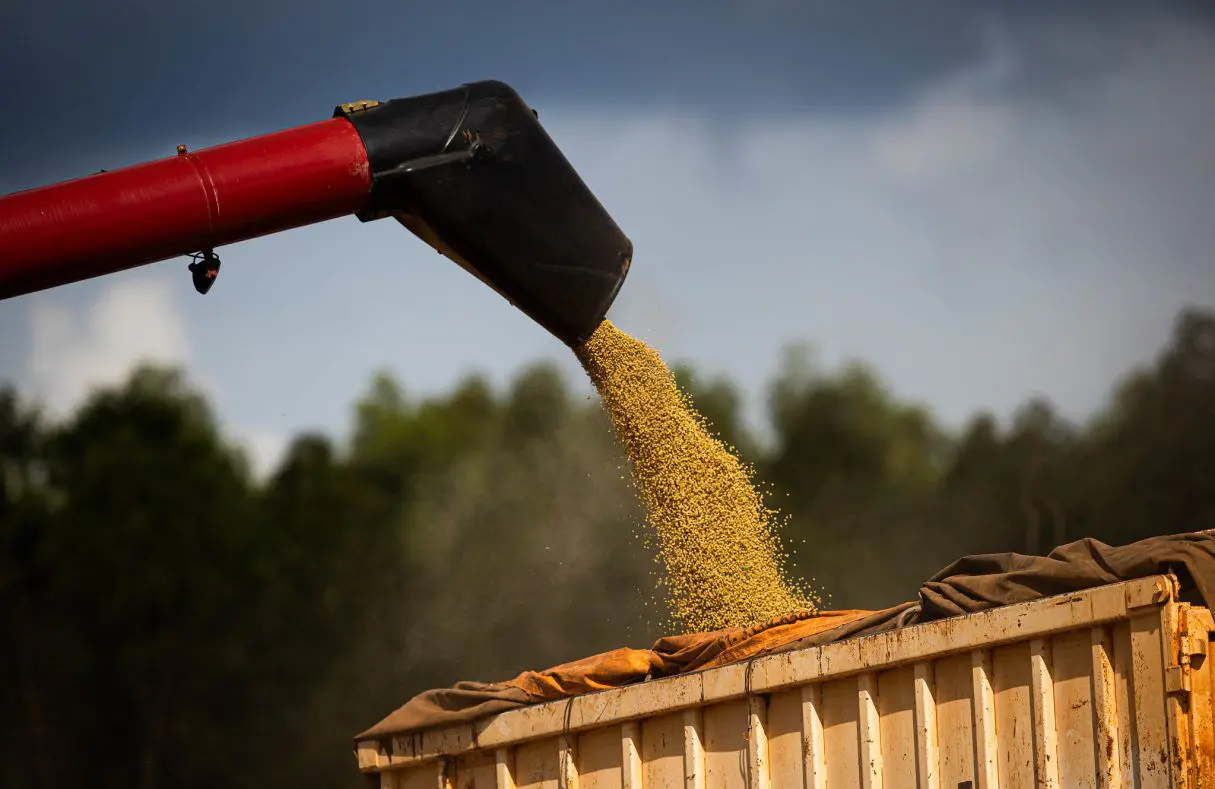 Agro puxa crescimento do PIB goiano