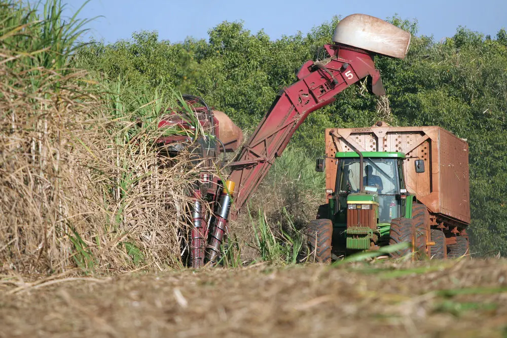 Agronegócio tem saldo positivo de 9.855 empregos no 1º semestre